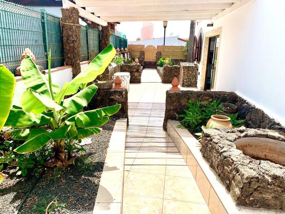 Casa Gato Leilighet Corralejo Eksteriør bilde